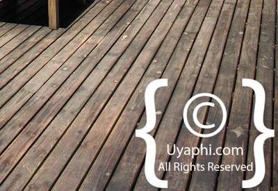 Lion Sands River Lodge Photo Gallery