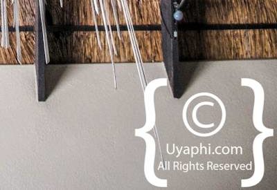 Lion Sands River Lodge Photo Gallery