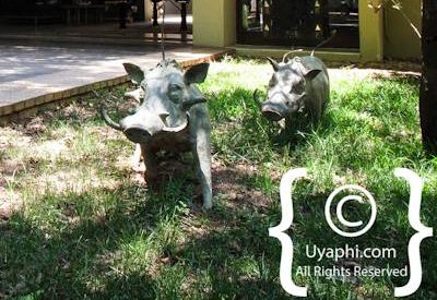 Lion Sands River Lodge Photo Gallery