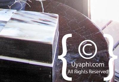 Photo Gallery of Lion Sands River Lodge