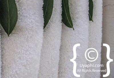 Photo Gallery of Lion Sands River Lodge