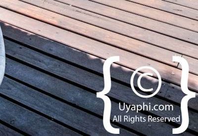 Photo Gallery of Lion Sands River Lodge