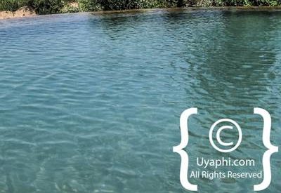 Photo Gallery of Lion Sands River Lodge