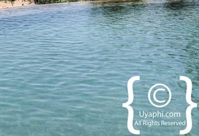 Photo Gallery of Lion Sands River Lodge