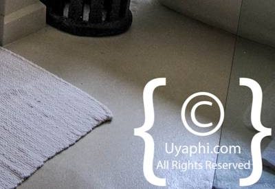 Photo Gallery of Lion Sands River Lodge