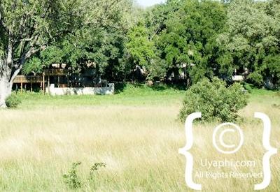 Nottens Bush Camp Photo Gallery