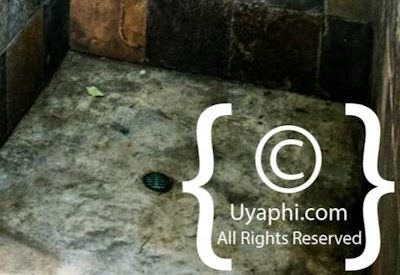 Photo Gallery of Nottens Bush Camp