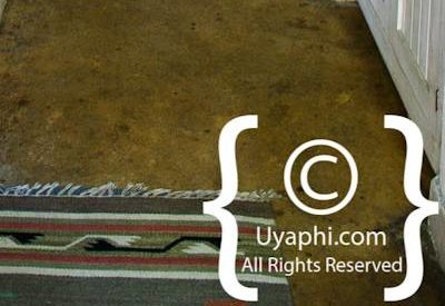 Photo Gallery of Nottens Bush Camp