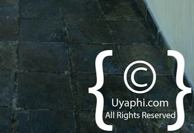 Photo Gallery of Nottens Bush Camp