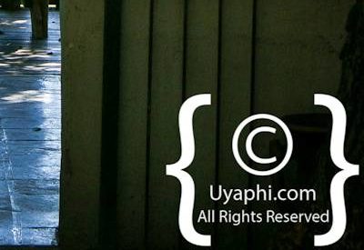 Nottens Bush Camp Photo Gallery