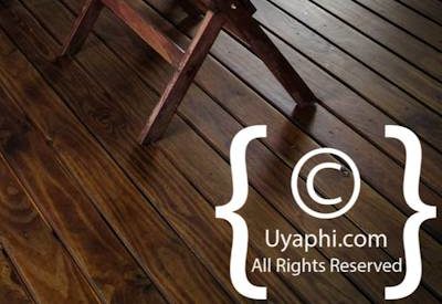 nThambo Tree Camp Photo Gallery