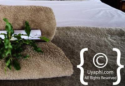 Photo Gallery of nThambo Tree Camp