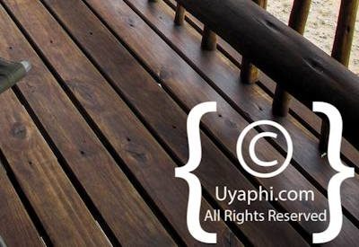 Photo Gallery of nThambo Tree Camp