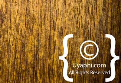 Photo Gallery of nThambo Tree Camp