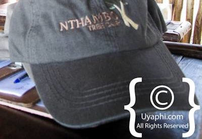 Photo Gallery of nThambo Tree Camp