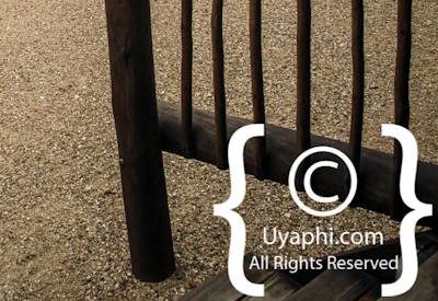 nThambo Tree Camp Photo Gallery