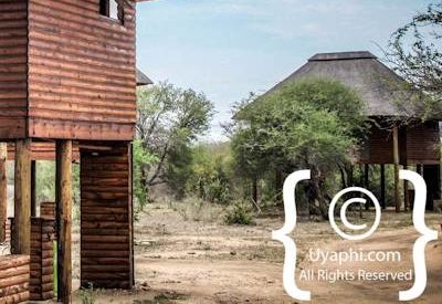 Photo Gallery of nThambo Tree Camp