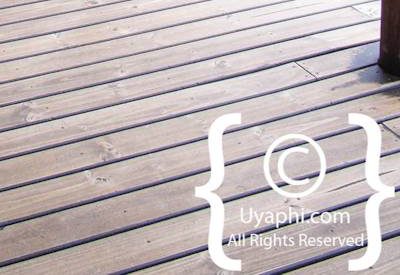 nThambo Tree Camp Photo Gallery