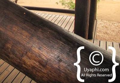 nThambo Tree Camp Photo Gallery