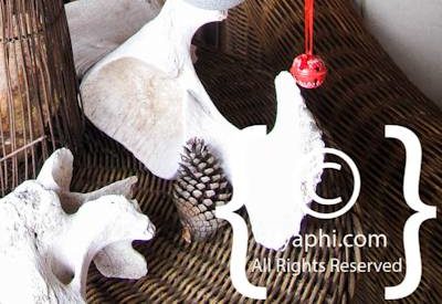 nThambo Tree Camp Photo Gallery