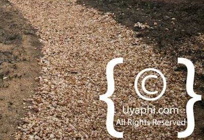 nThambo Tree Camp Photo Gallery