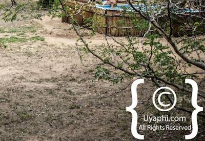 nThambo Tree Camp Photo Gallery