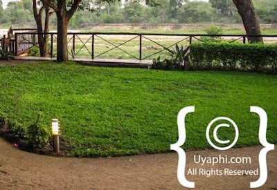 Umkumbe Safari Lodge Photo Gallery