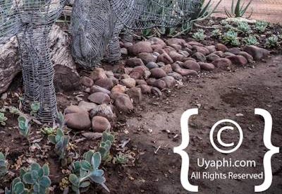 Photo Gallery of Umkumbe Safari Lodge