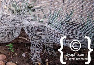 Photo Gallery of Umkumbe Safari Lodge