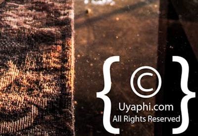 Photo Gallery of Umkumbe Safari Lodge