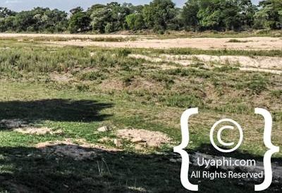 Umkumbe Safari Lodge Photo Gallery