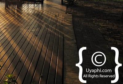 Photo Gallery of Umkumbe Safari Lodge