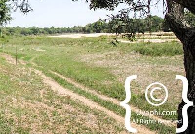 Photo Gallery of Umkumbe Safari Lodge