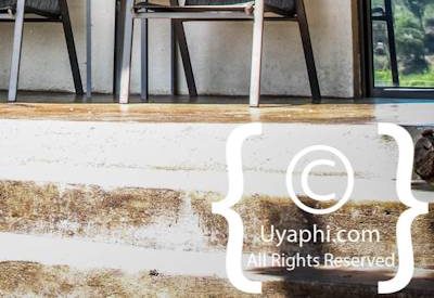 Photo Gallery of Umkumbe Safari Lodge