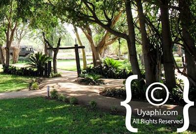 Umkumbe Safari Lodge Photo Gallery