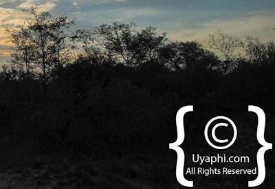 Umkumbe Safari Lodge Photo Gallery