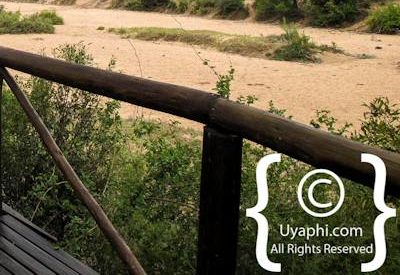 Photo Gallery of Umlani Bush Camp