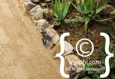 Photo Gallery of Umlani Bush Camp