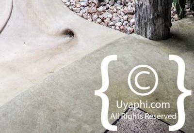 Umlani Bush Camp Photo Gallery