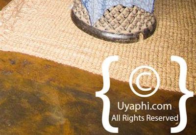 Photo Gallery of Umlani Bush Camp