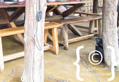 Umlani Bush Camp Photo Gallery