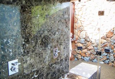 Mateya Safari Lodge indoor shower luxury suite Madikwe Game Reserve South Africa