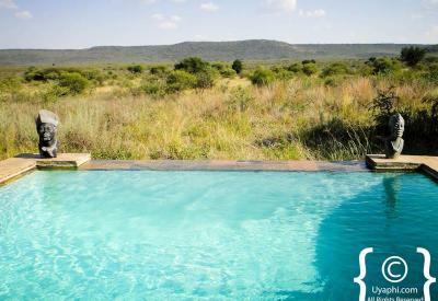 Mateya Safari Lodge private plunge pool deck Madikwe Game Reserve South Africa