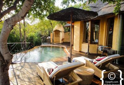 Molori Safari Lodge deck bushveld views Madikwe Game Reserve North West South Africa