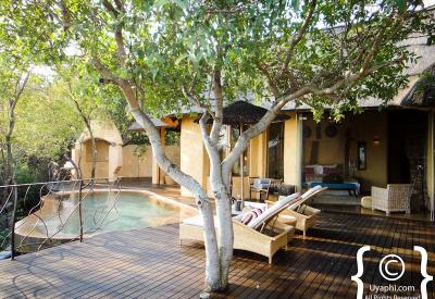 Molori Safari Lodge main lodge communal area Madikwe Game Reserve South Africa