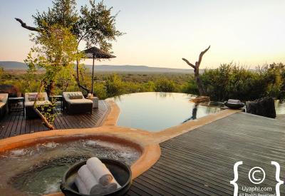 Molori Safari Lodge swimming pool Madikwe Game Reserve malaria-free South Africa