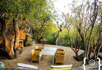 Molori Safari Lodge immaculate grounds Madikwe Game Reserve North West South Africa