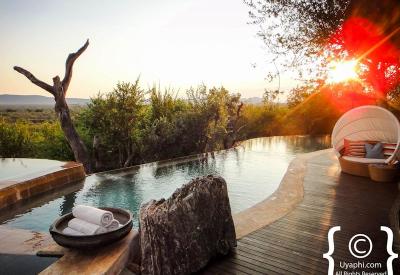 Molori Safari Lodge immaculate grounds Madikwe Game Reserve North West South Africa