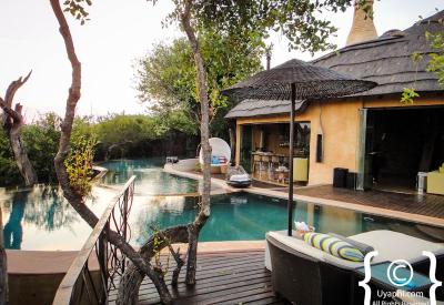 Open vehicle Big Five game drive Molori Safari Lodge Madikwe Game Reserve South Africa