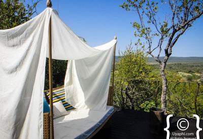 Madikwe Game Reserve bushveld Molori Safari Lodge North West Province South Africa